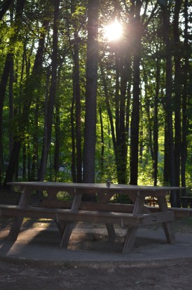 Flash of Insight Beckons