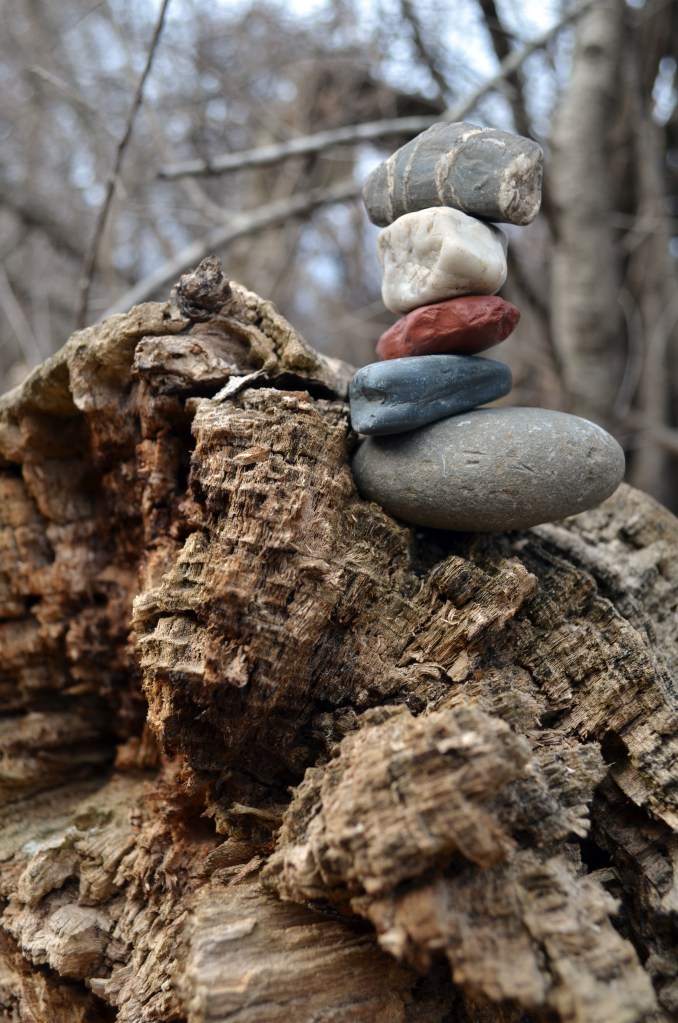 cross section of a long fallen tree trunk with irregular, eroded edges. Perched atop it is the titular waymaking cairn, consisting of 5 stones of various colors and shapes.