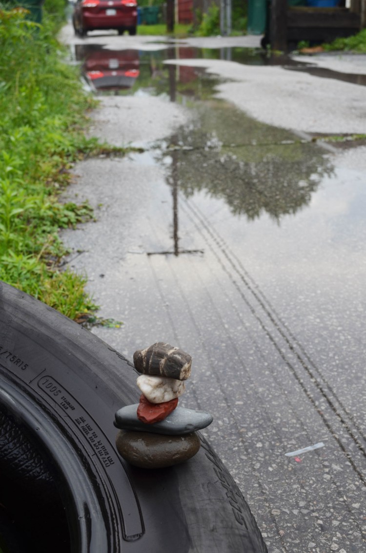 WMC Discarded Tire After the Rain 2015.6.12_5521