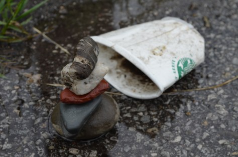 WMC Strbk Cp CU 2015.6.12_5529