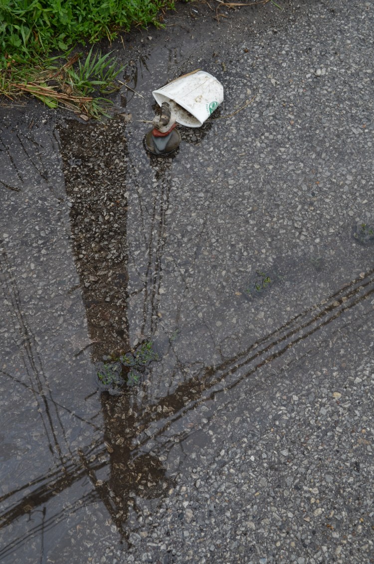 WMC Strbk Cp Puddle Refl Pole 2015.6.12_5524