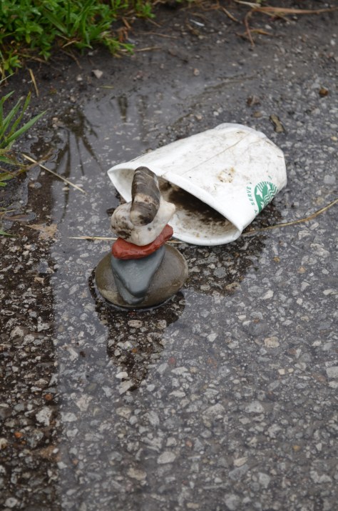 WMC Strbk Puddle CU 2015.6.12_5526