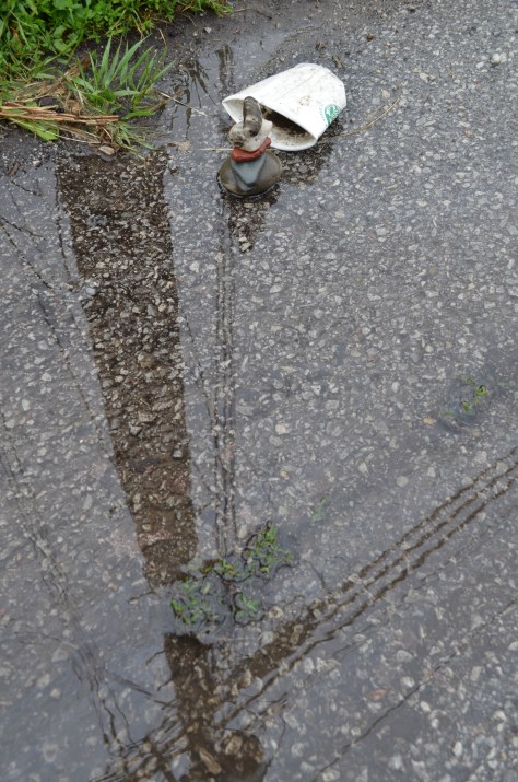 WMC-StrbkCp-puddle-pole refl2015.6.12_5525