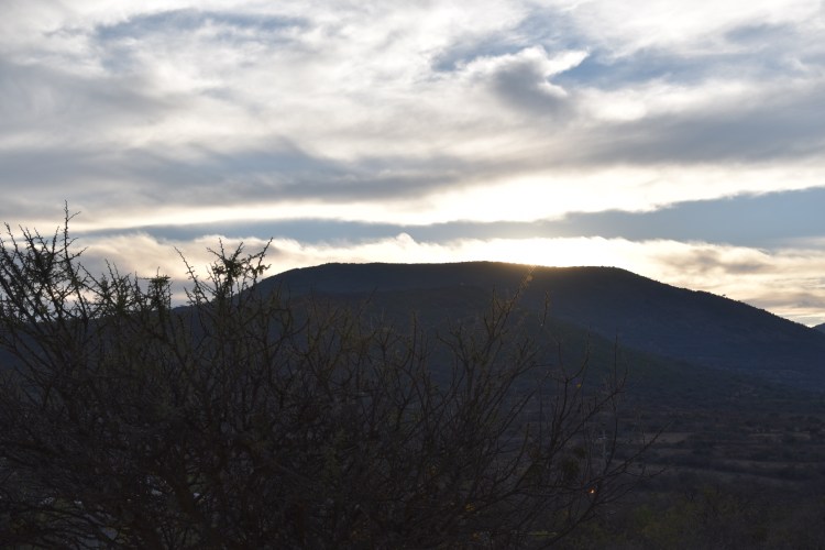 Here on Simple Choice Farm its not unusual to meet some of the other residents out on the terrace next to the pool, sitting and chatting while watching the sun set.