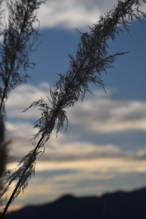 The final shot of the sky after the sun has sunk behind the mountain, yet the far off clouds reflect the dwindling final embers of the sun.