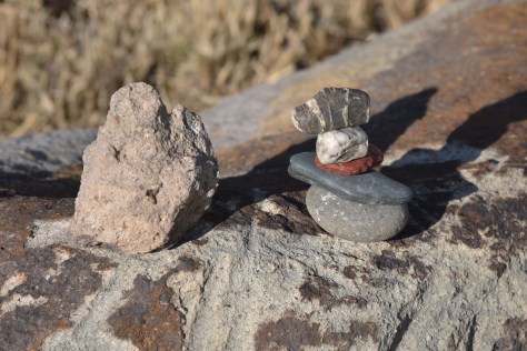 maravillado por el encuentro casual que nos dio esta cercanía momentánea